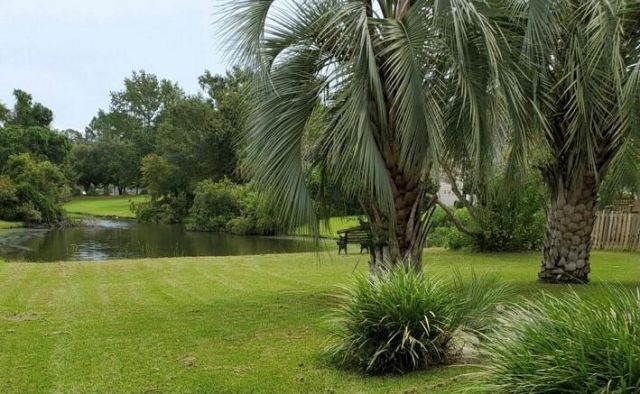 386 Jardinere Walk Photo 20