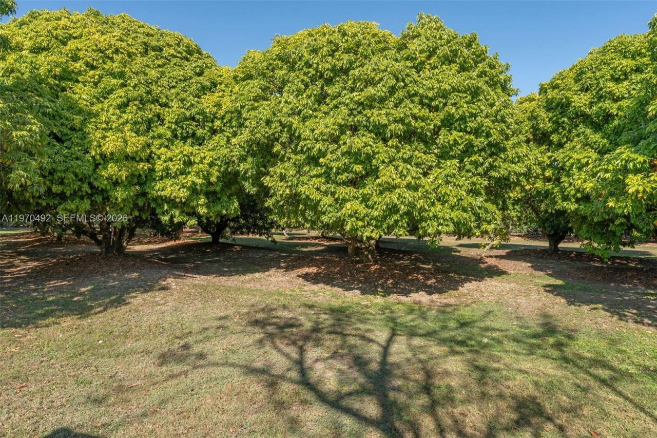 20076 SW 190th St, Miami, FL 33187 Photo