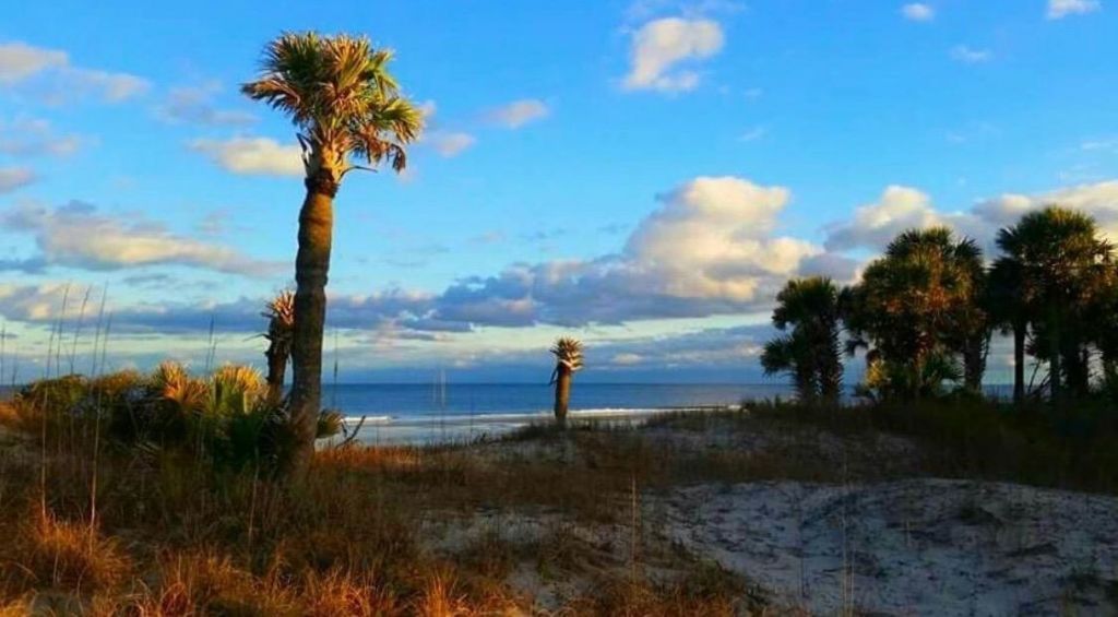 2618 Rion St.  Photo 43