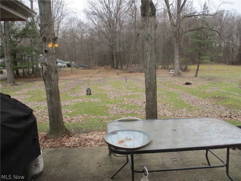 256 Warner Road, Hubbard, OH 44425 Photo 12