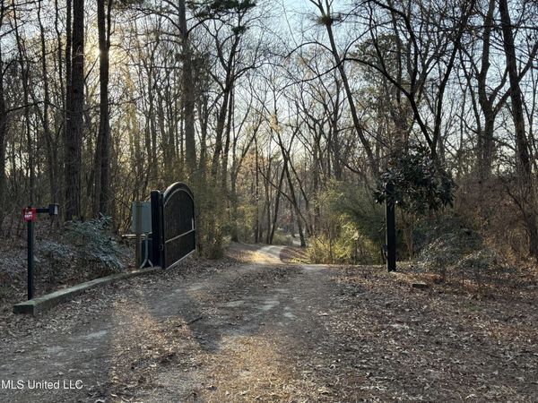 Mannsdale Bluff Trail, Madison, MS 39110