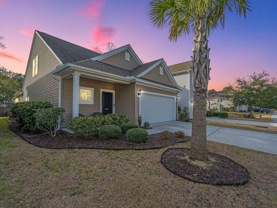 3825 Tupelo Branch Row, Mount Pleasant, SC 29429