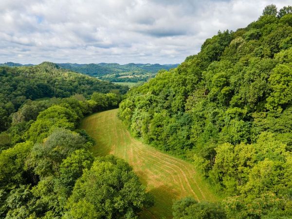 193 Dixon Ln , Pleasant Shade, TN 37145