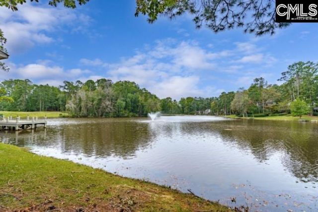 14 Shadow Creek Court Photo 49