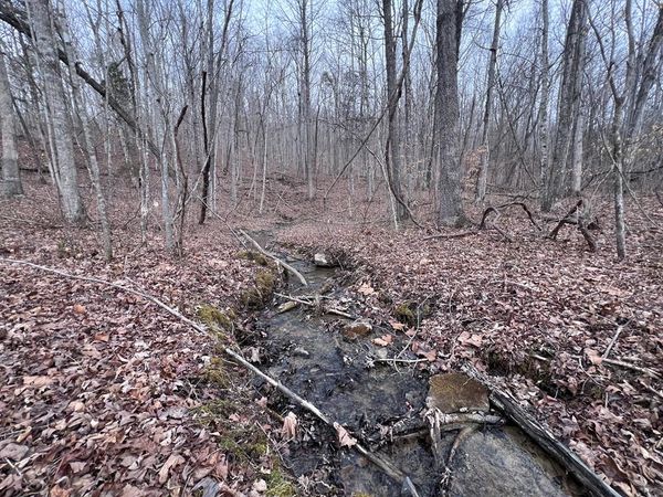 Lot 55 Buffalo Cove Ln, Jamestown, TN 38556