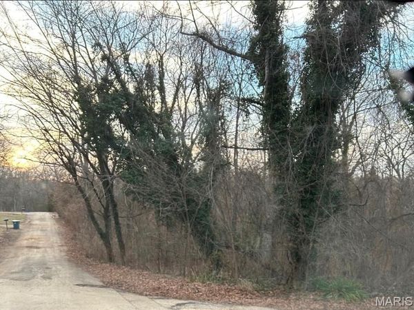 0 Pawnee , Irondale, MO 63648