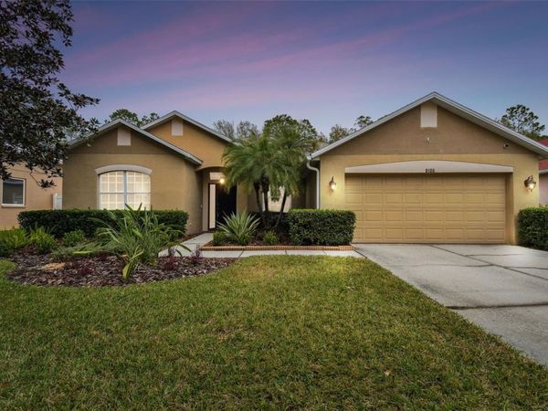 8106 KENDELWICK COURT , TAMPA, FL 33647