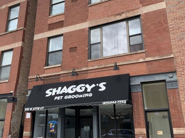 556 W 37th Street, Unit 3C, Chicago, IL 60609