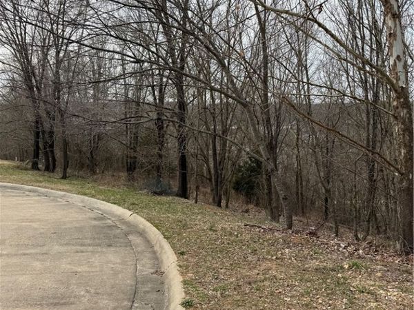 3402 Creekstone Cove, Bentonville, AR 72712