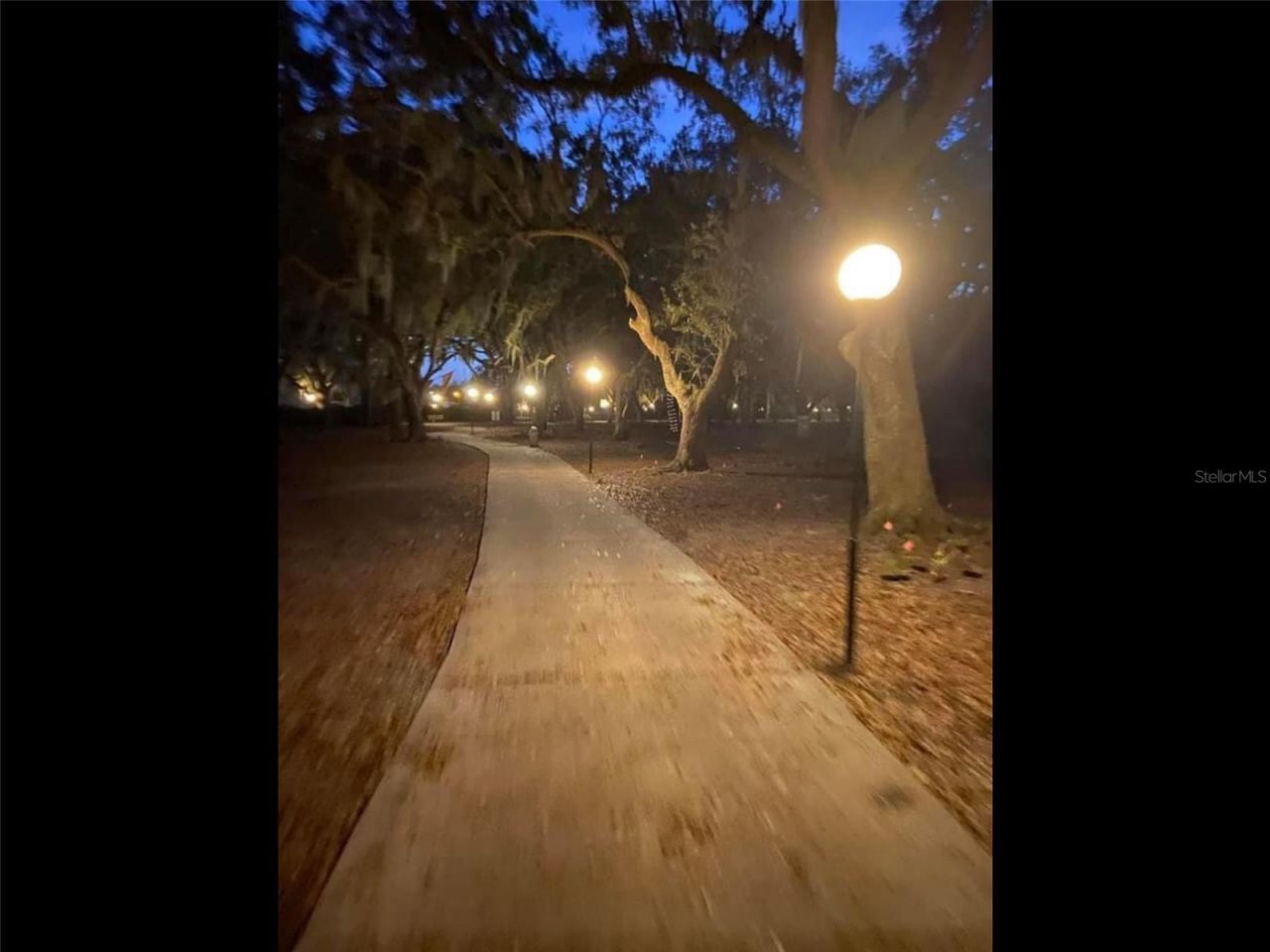 1217 Club Circle, Lakeshore, FL 33854 Photo