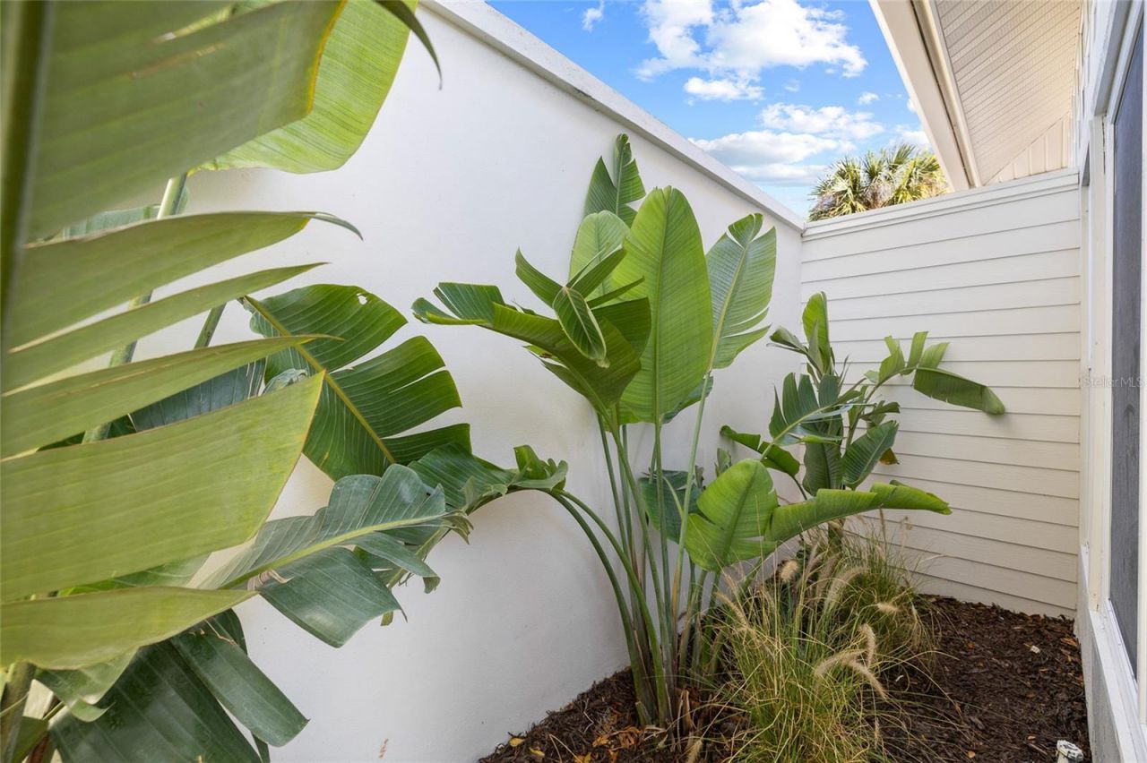 512 Crystal Grove Boulevard , Lutz, FL 33548 Photo