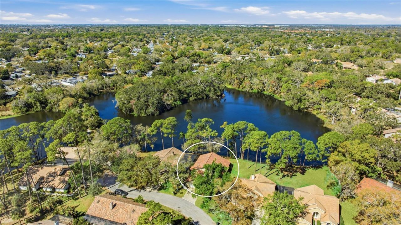 4870 Tivoli Court, Sarasota, FL 34235 Photo