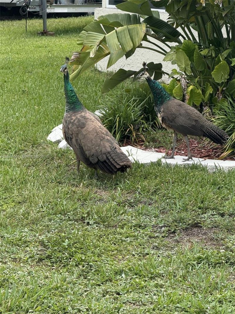 17640 Old Cutler Rd , Palmetto Bay, FL 33157 Photo