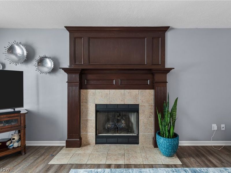 4467 Newcastle Cove, Brunswick, OH 44212 Photo 5