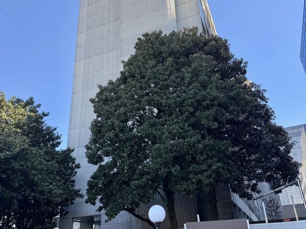 147 15th Street NE, Unit 15D, Atlanta, GA 30309