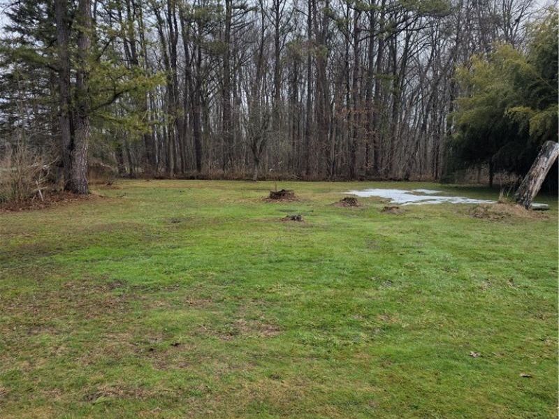 850 State Route 46 N, Jefferson, OH 44047 Photo 16