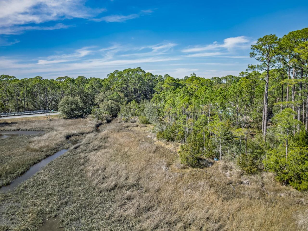 Lots 1 & 2 Chattahoochee Street, Panacea, FL 32346 Photo