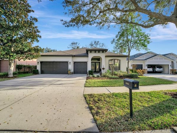 15616 STARLING WATER DRIVE, LITHIA, FL 33547