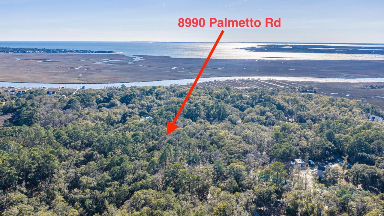 8990 Palmetto Road Photo 53