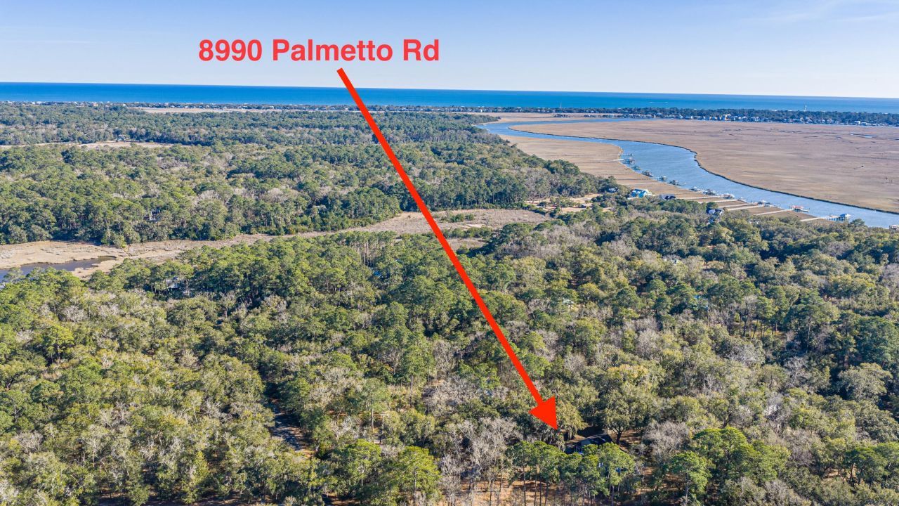 8990 Palmetto Road Photo 54