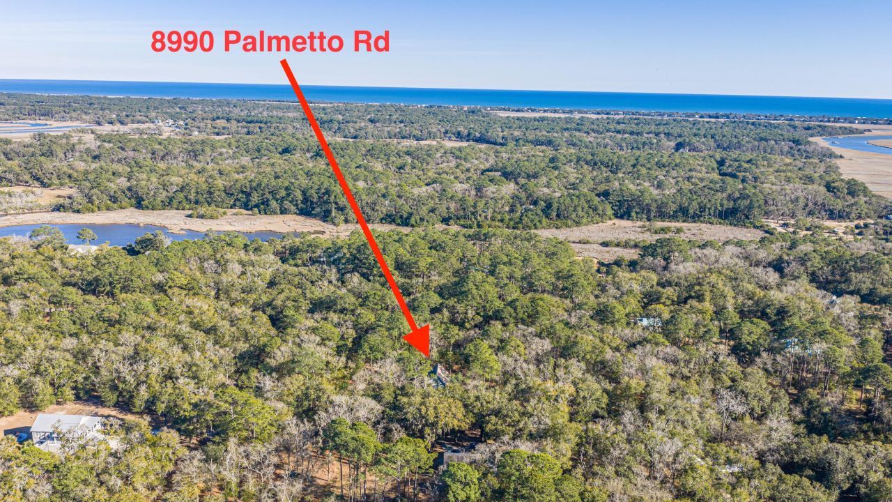 8990 Palmetto Road Photo 55