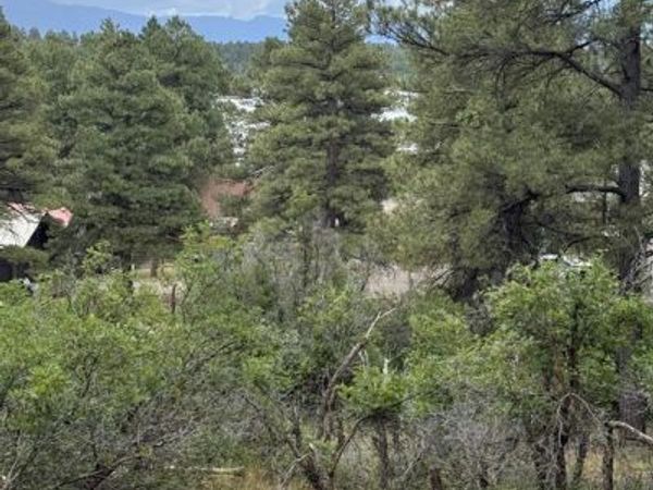 821 Aspenglow Boulevard, Pagosa Springs, CO 81147