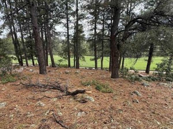 94 W Golf Place, Pagosa Springs, CO 81147