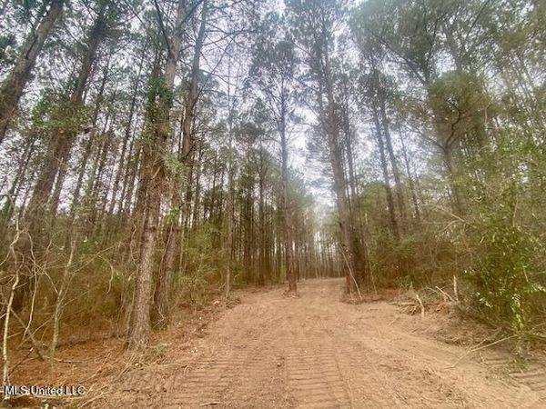 Crawley Road, Columbia, MS 39429