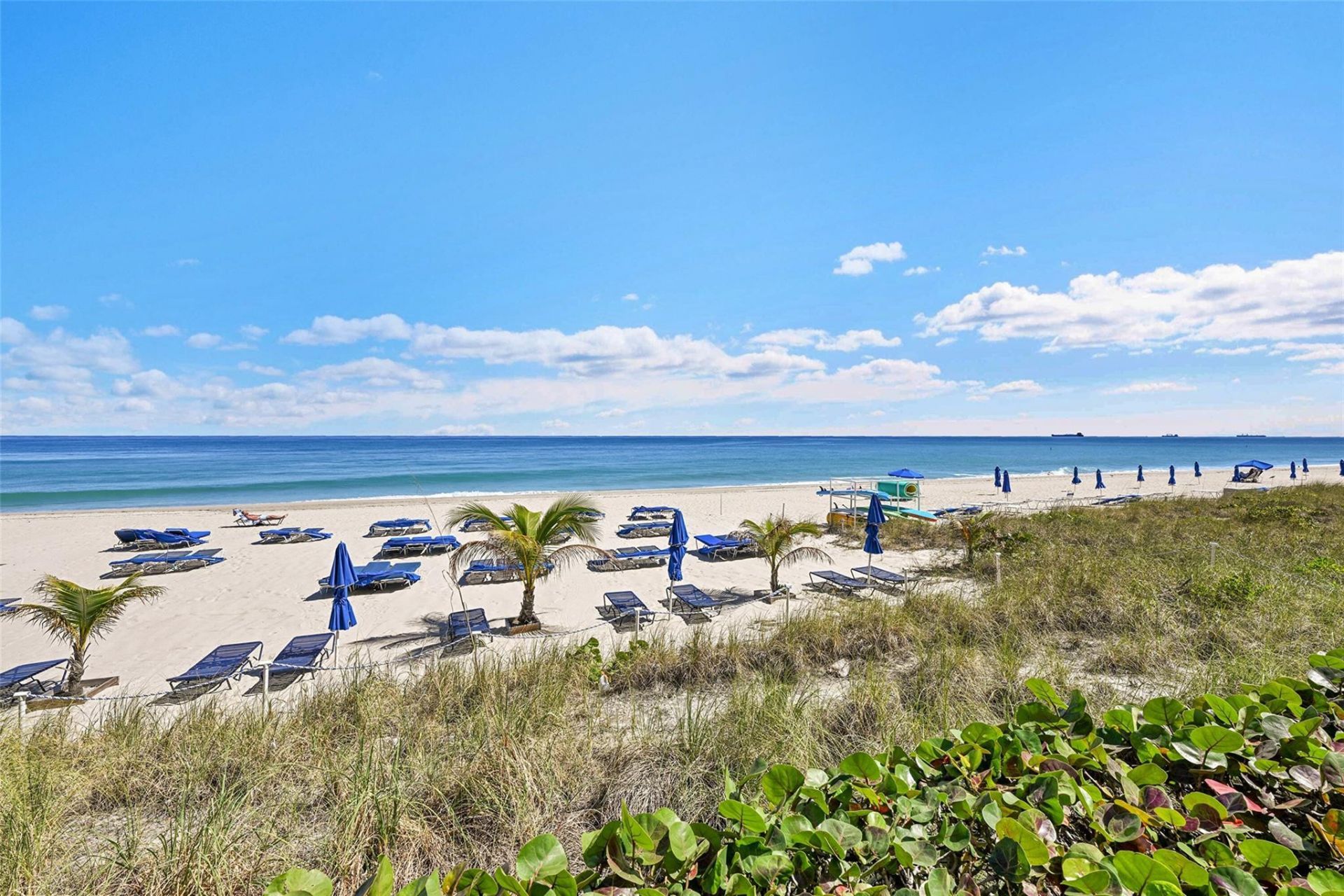 3700 Galt Ocean Drive, Unit 1215, Fort Lauderdale, FL 33308 Photo