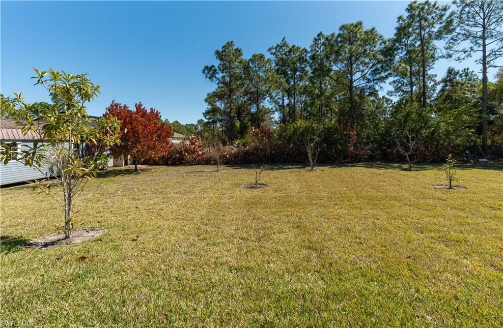 1118 Clark Ave, Lehigh Acres, FL 33972 Photo