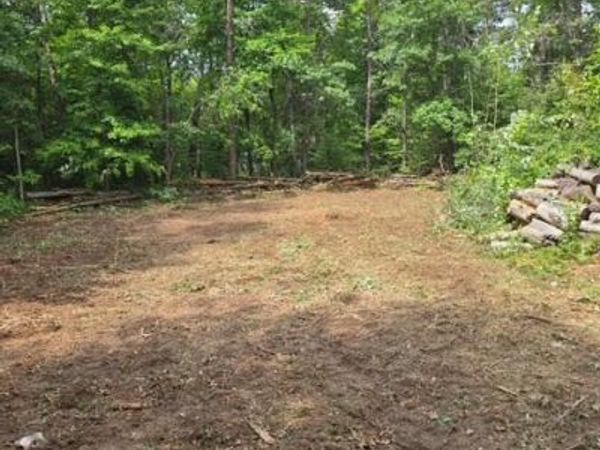 Lot 26 & Lot 27 Roberta Drive , South Branch Twp, MI 48653