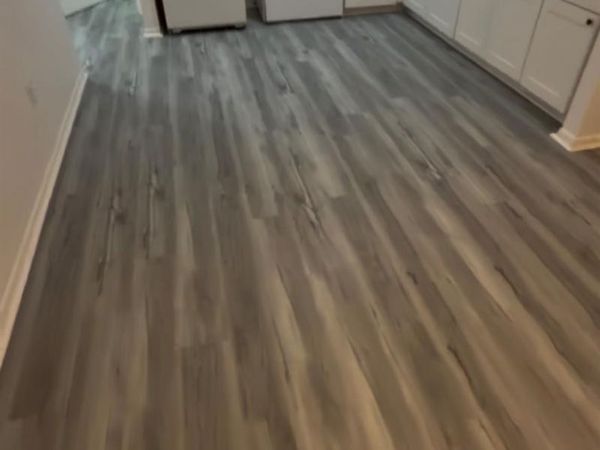 8305 Marks Street, Tampa, FL 33604