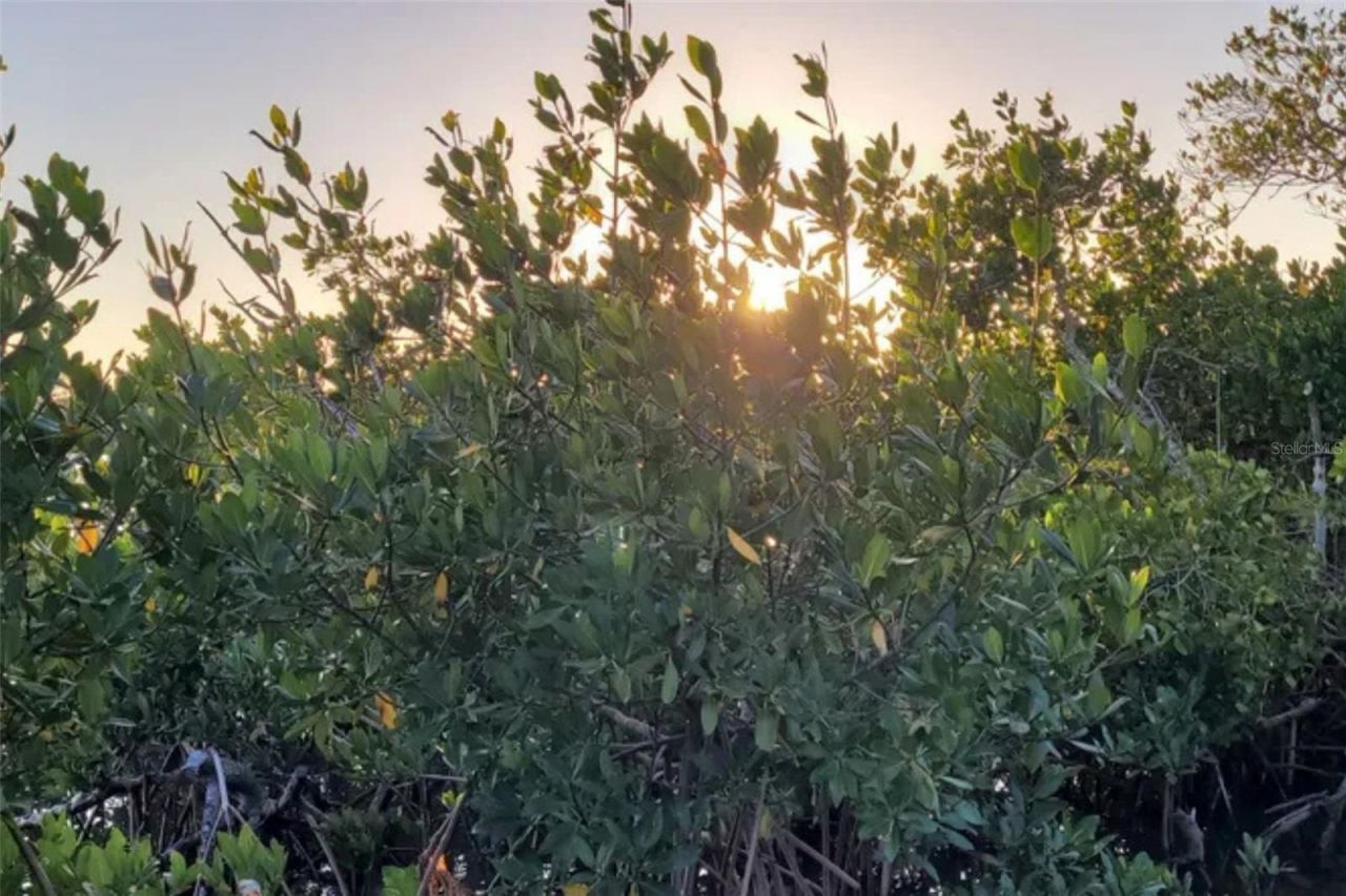 13798 74th Avenue, Seminole, FL 33776 Photo