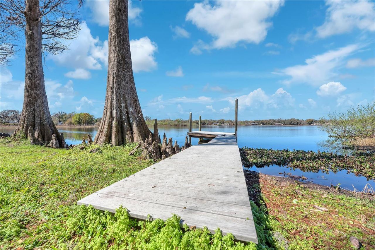 2004 Capri Road, Valrico, FL 33594 Photo