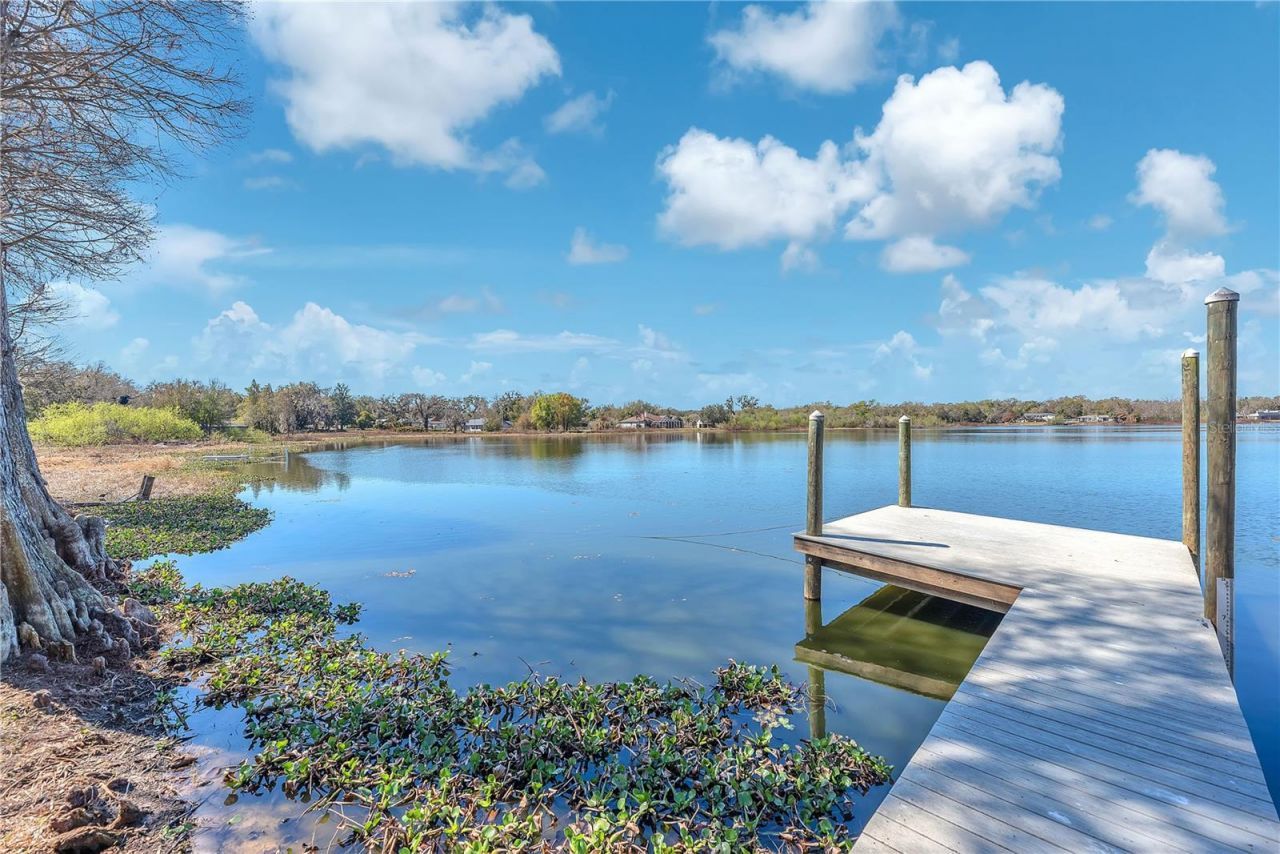 2004 Capri Road, Valrico, FL 33594 Photo