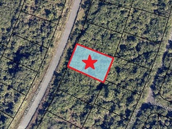 2445 KENTUCKY DRIVE SW, PALM BAY, FL 32908