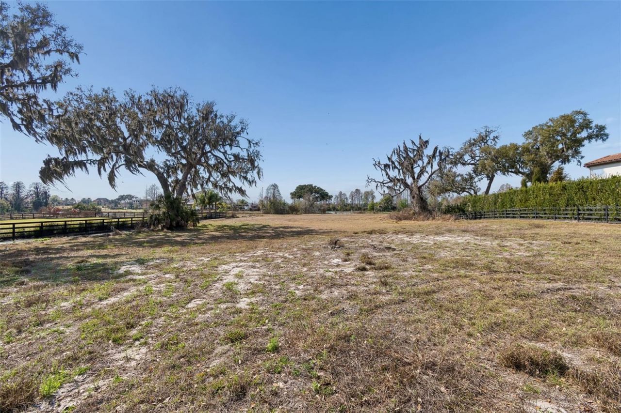 10718 Osprey Landing Way, Thonotosassa, FL 33592 Photo