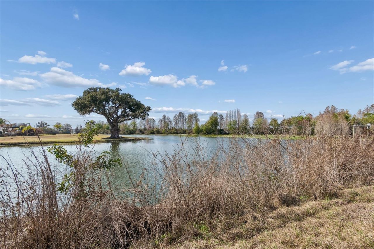 10718 Osprey Landing Way, Thonotosassa, FL 33592 Photo