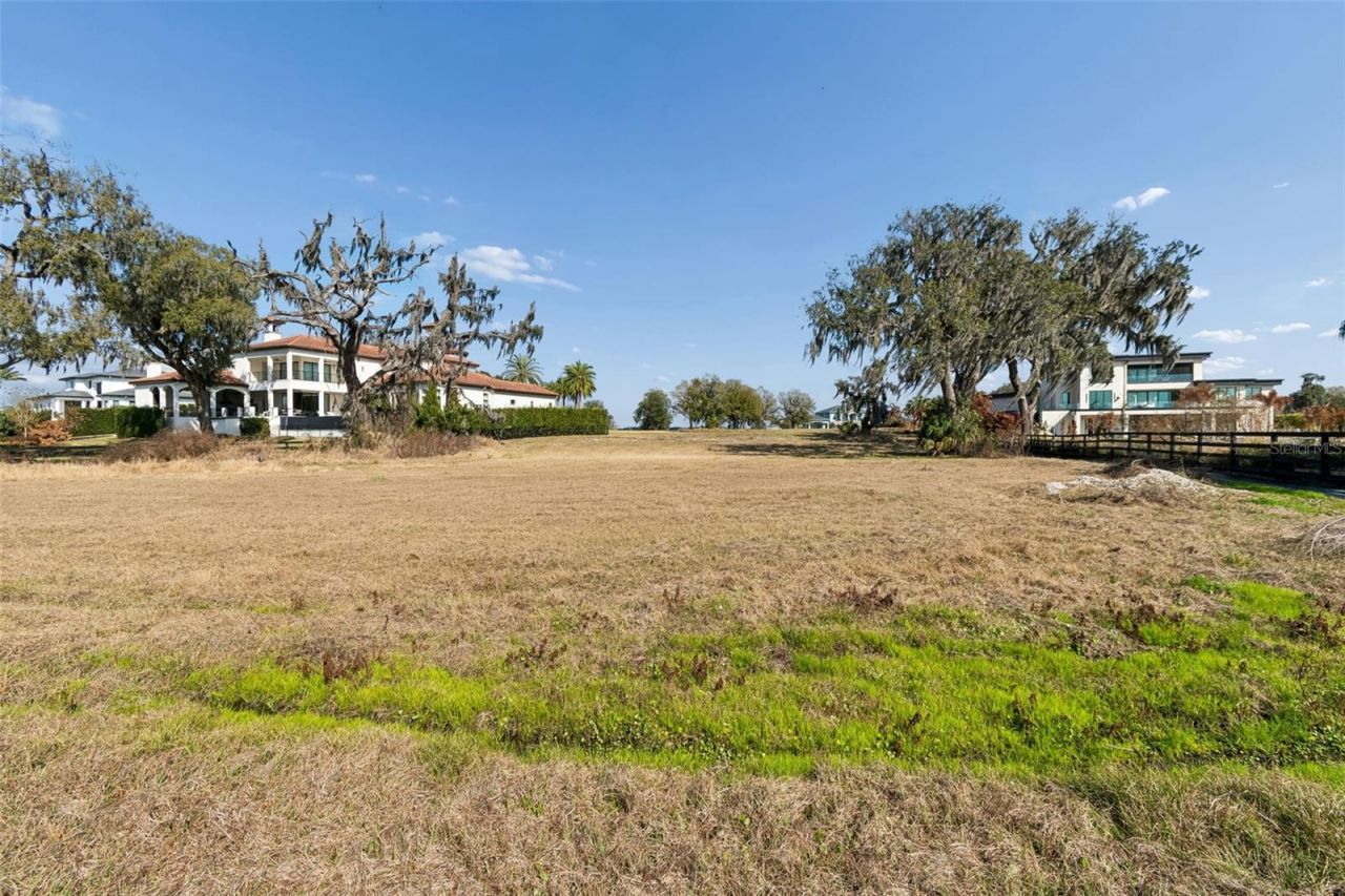 10718 Osprey Landing Way, Thonotosassa, FL 33592 Photo