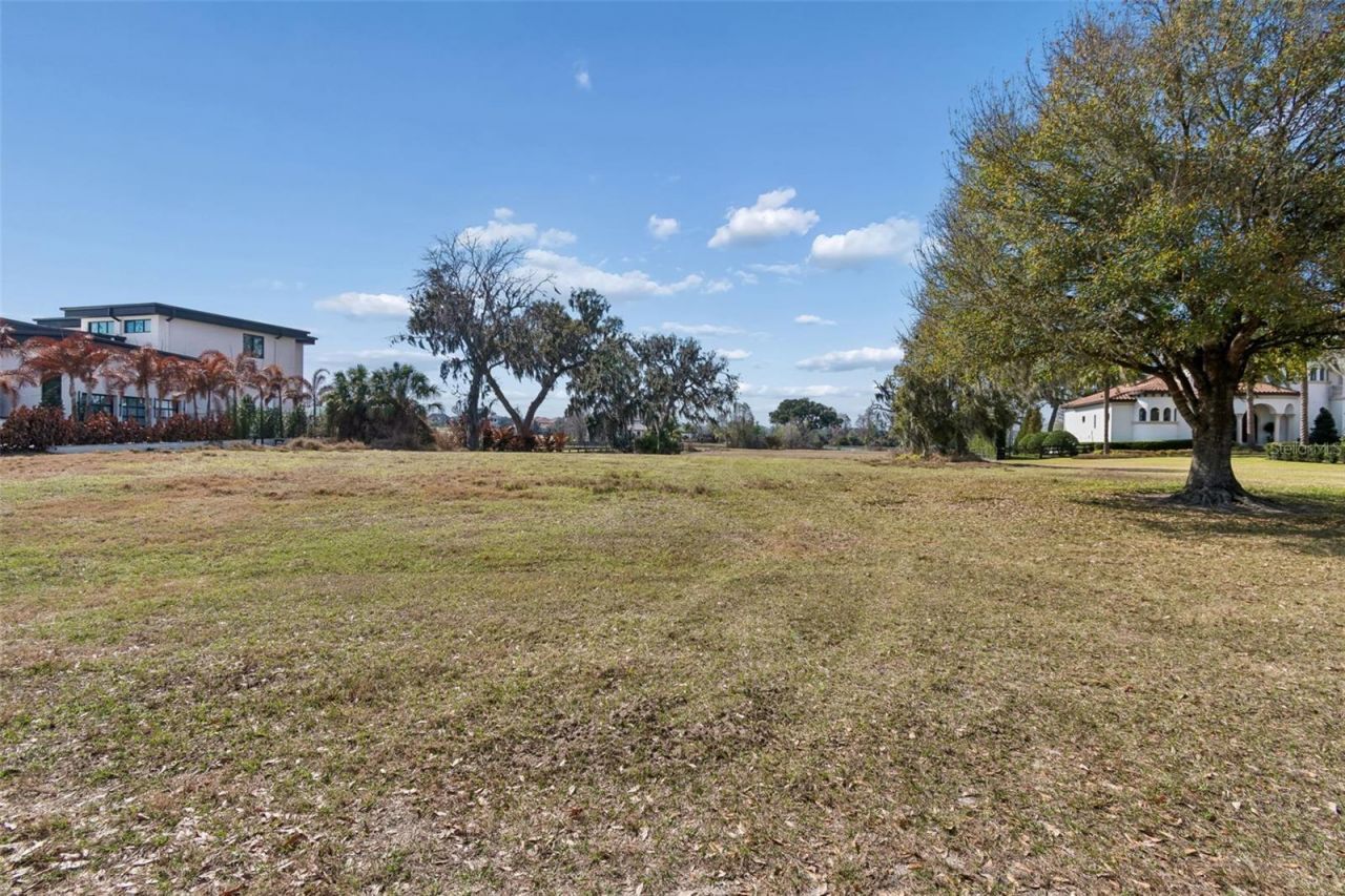 10718 Osprey Landing Way, Thonotosassa, FL 33592 Photo