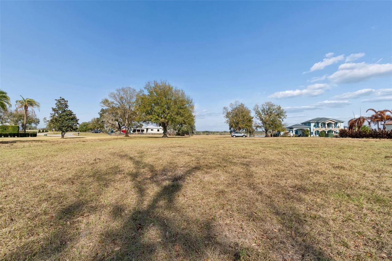 10718 Osprey Landing Way, Thonotosassa, FL 33592 Photo