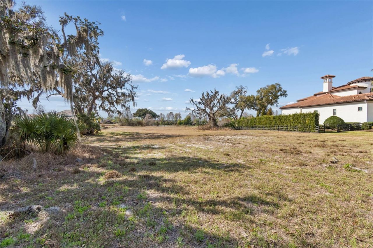 10718 Osprey Landing Way, Thonotosassa, FL 33592 Photo