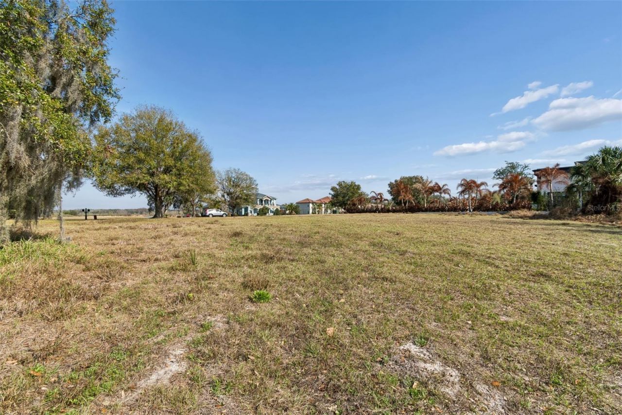 10718 Osprey Landing Way, Thonotosassa, FL 33592 Photo