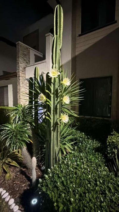 315 NE 208th Terrace, Miami, FL 33179 Photo