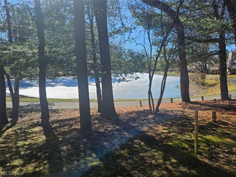 7182 Hills and Dales Road NW, Unit 21, Massillon, OH 44646 Photo 3