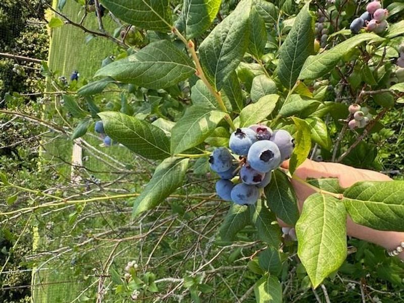 2870 BIS Road SW, Lancaster, OH 43130 Photo 15