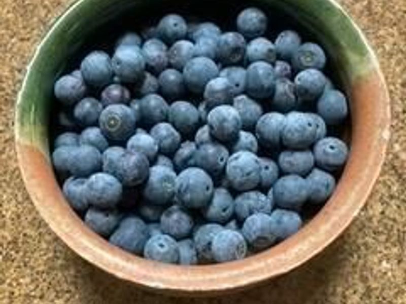 2870 BIS Road SW, Lancaster, OH 43130 Photo 3