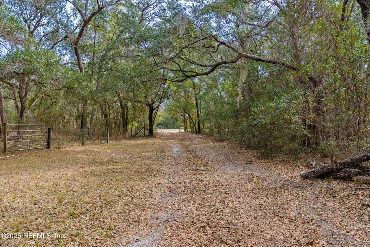 19514 N County Road 225, Gainesville, FL 32609 Photo