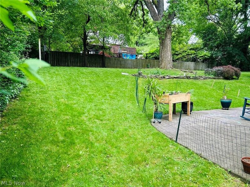 399 Mineola Avenue, Akron, OH 44320 Photo 48