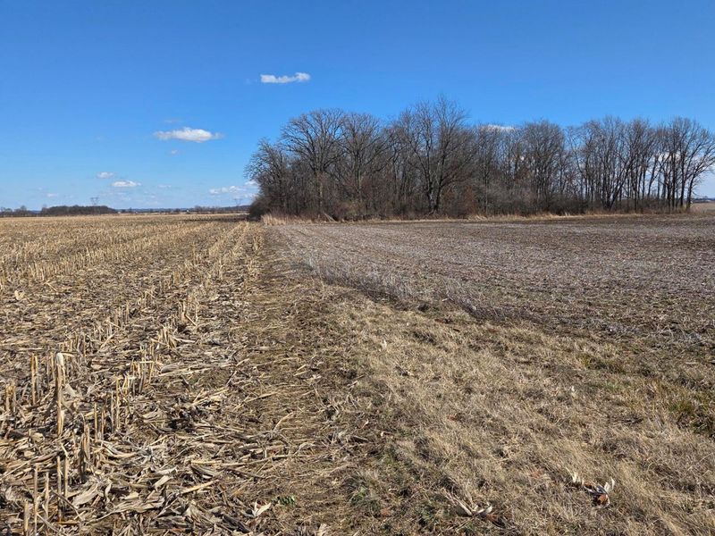 2105 Stonerock Road, Williamsport, OH 43164 Photo 14